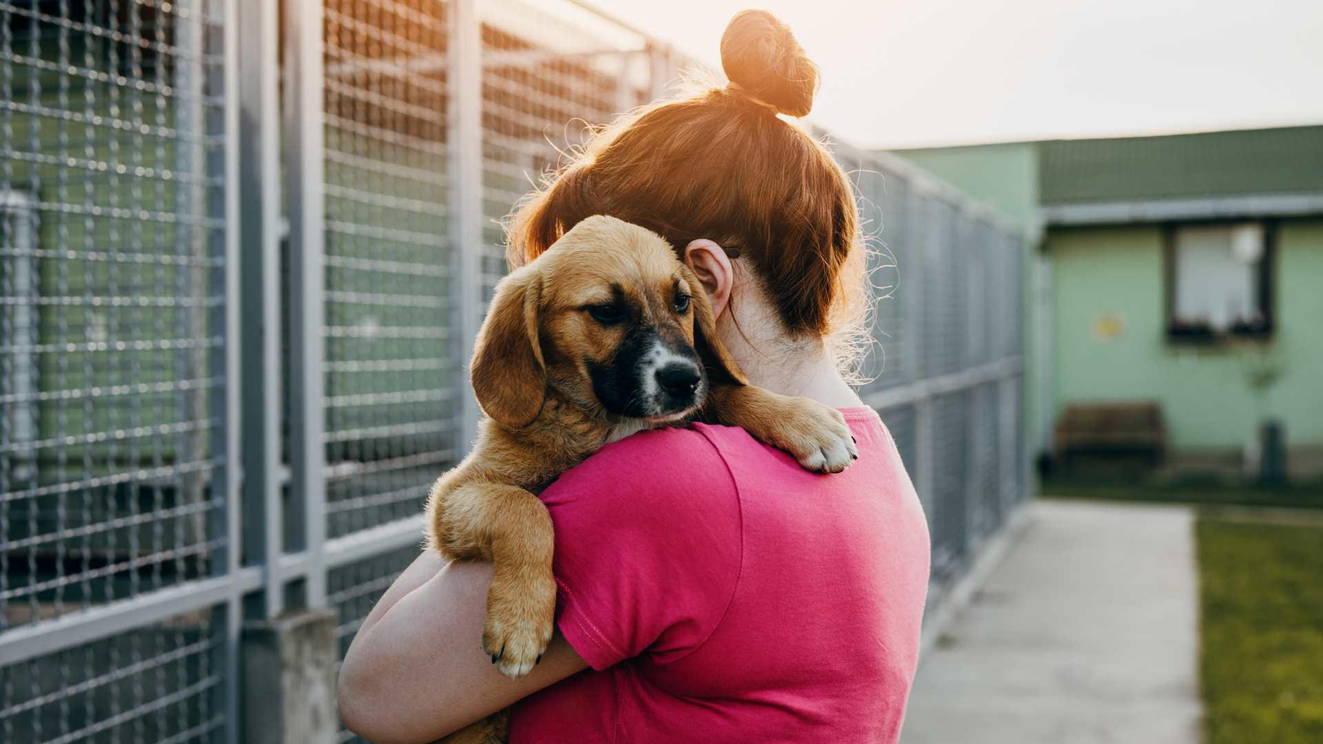 SPCA volunteer